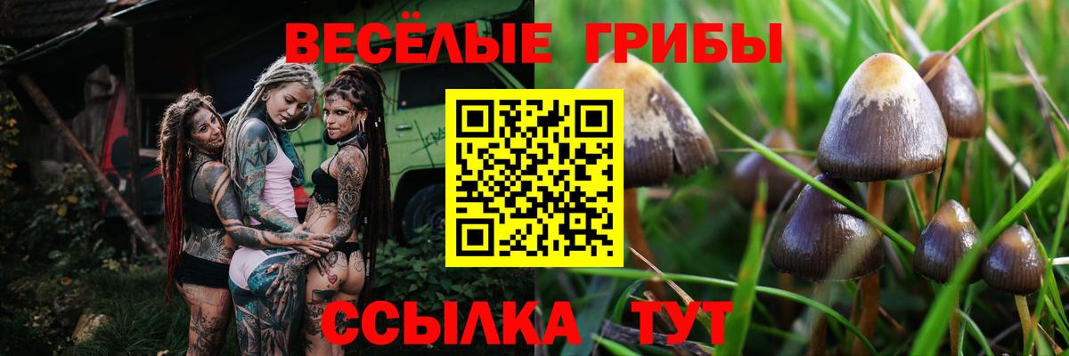 Псилоцибиновые грибы MAGIC MUSHROOMS  Вход с VPN  Иркутск 