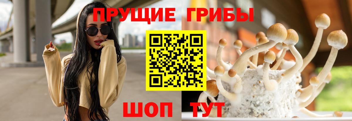 Псилоцибиновые грибы Psilocybine cubensis Иркутск
